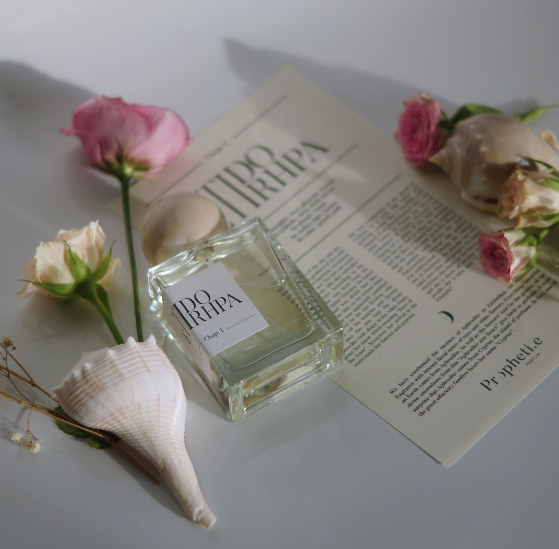 Parfum Etidorhpa posé à plat sur le parchemin à plat et quelques roses rose ainsi que des coquillages