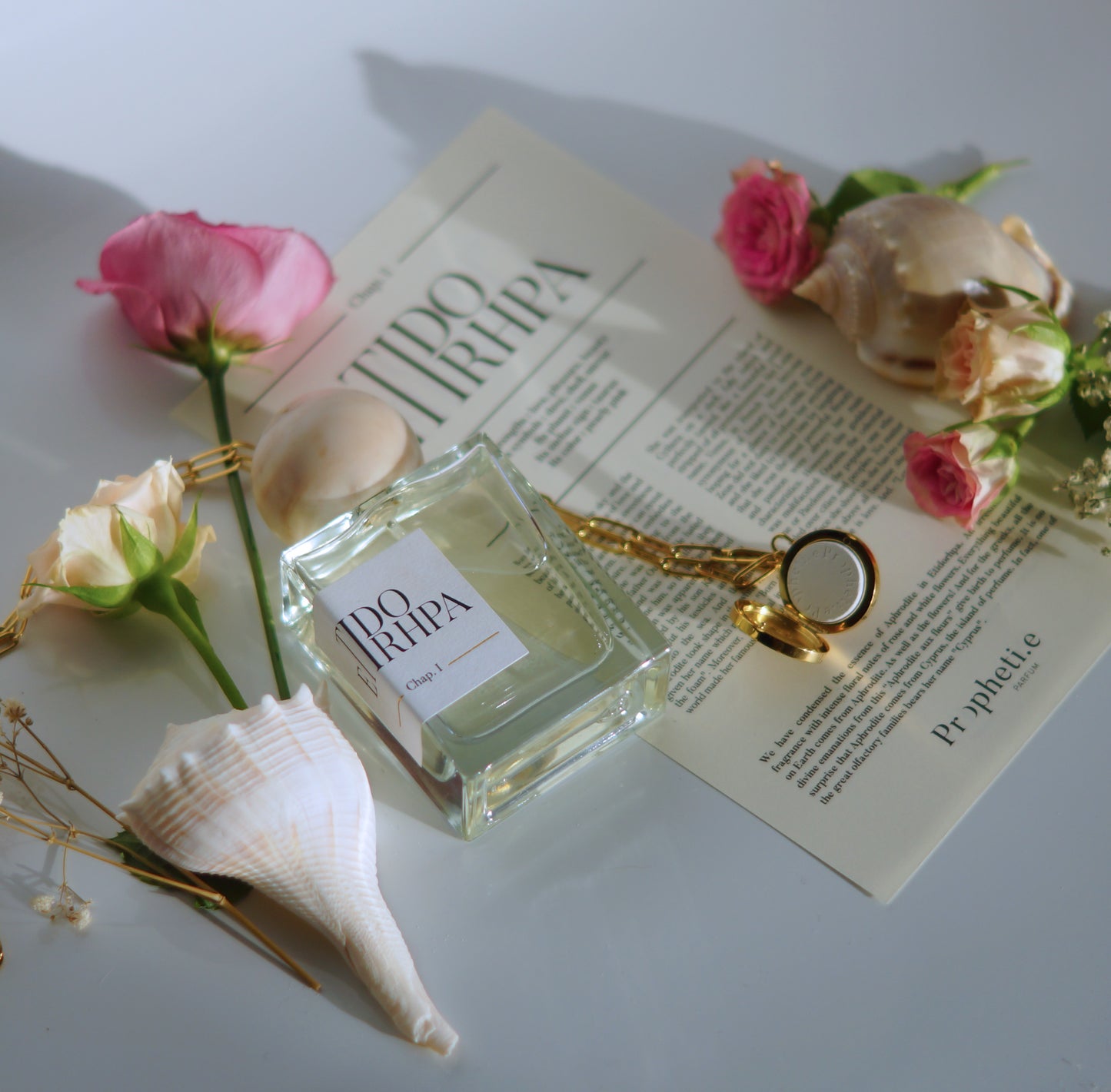 Parfum Etidorhpa posé à plat sur le parchemin à plat, et le bijou posé dessus ouvert avec la pierre et quelques roses rose ainsi que des coquillages
